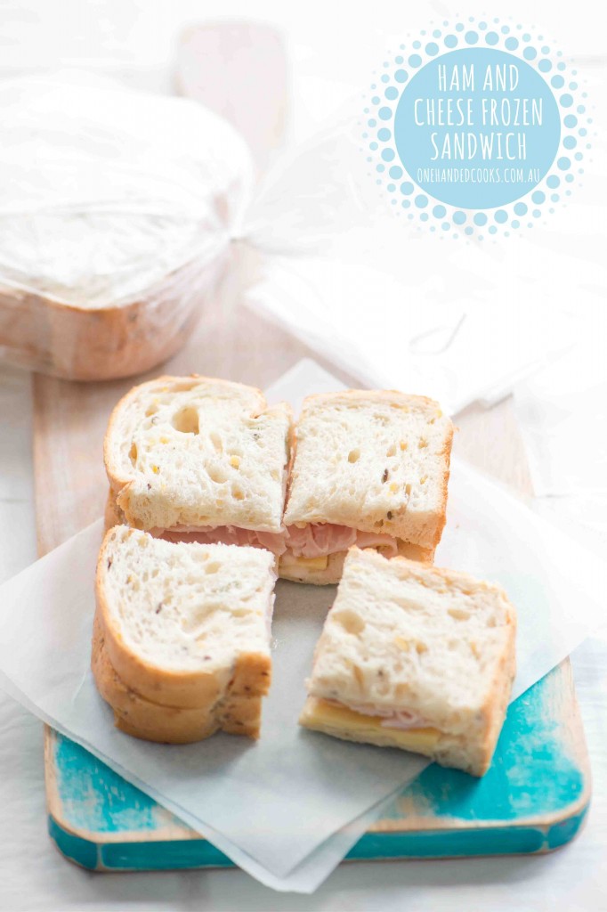 Ham And Cheese Frozen Sandwich One Handed Cooks