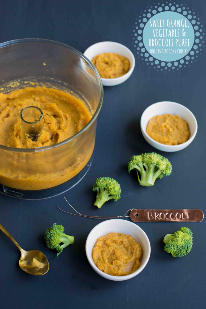 Sweet Orange Vegetable &amp; Broccoli Puree One Handed Cooks