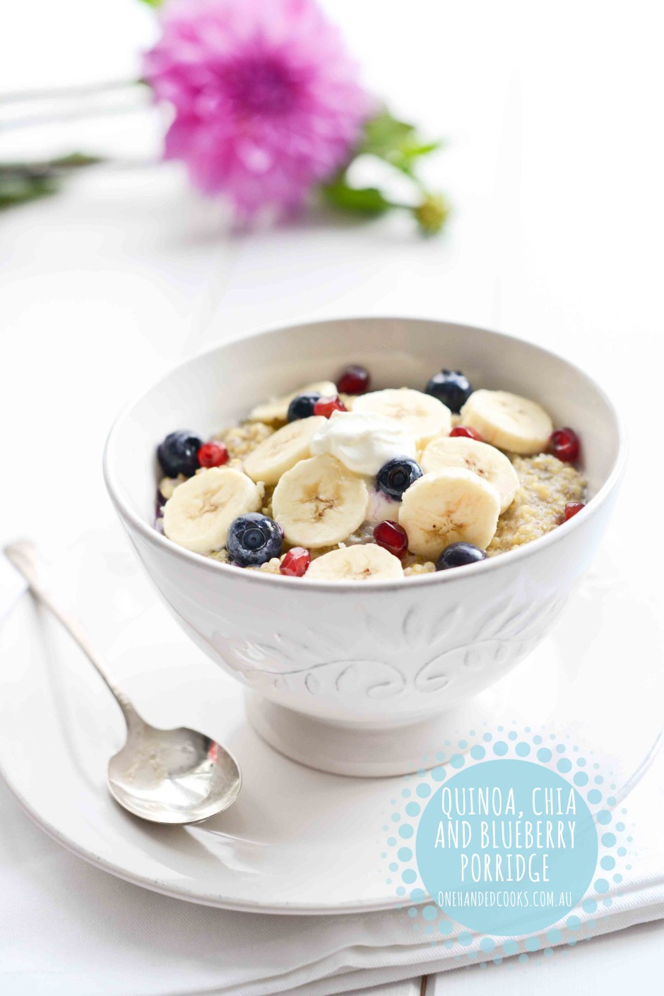 Quinoa, Chia & Blueberry Porridge One Handed Cooks